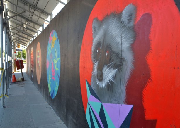 street art painting of a racoon's head, on wood construction hoardings. 