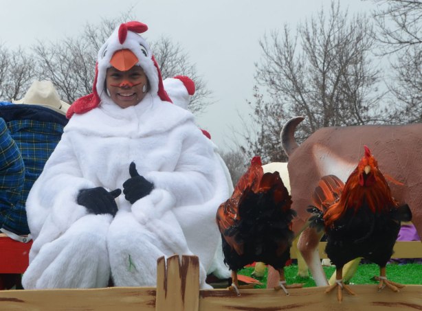  - a boy is sitting on a float in a white chicken costume, two fake but real looking chickens are beside him 