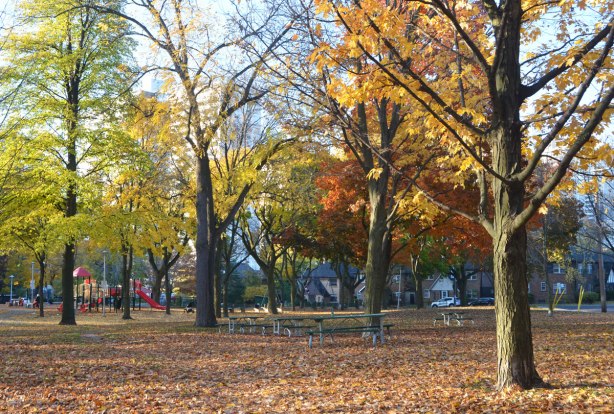 park in the fall, leaves on the ground, trees still with some leaves in oranges, rusts, and yellows, playground in the distance