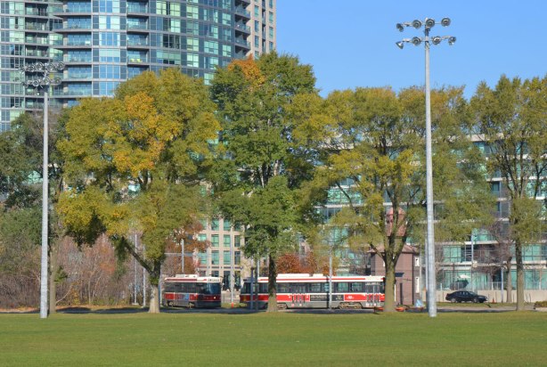 Looking across the outfield of a baseball diamond towards a street. A line of mature trees by the street with two red and white TTC streetcars on the street, condo towers behind. 