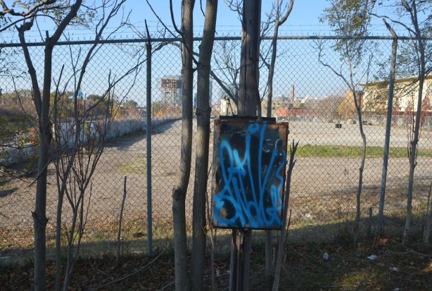 a box beside a fence that has been scrawled over with blue spray paint. Behind it is a fence around a vacant empty lot. There are some small trees growing in front of the fence. 