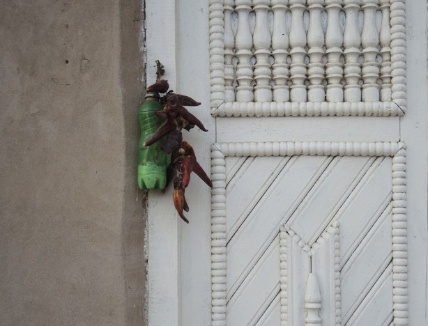 a string of chilis and a green pop bottle partly filled with salt, hanging beside a white wood door 