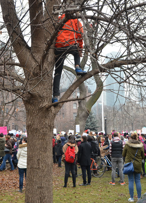 A person is up in a tree, looking over a crowd of people at Queens Park, Womens March, toronto 