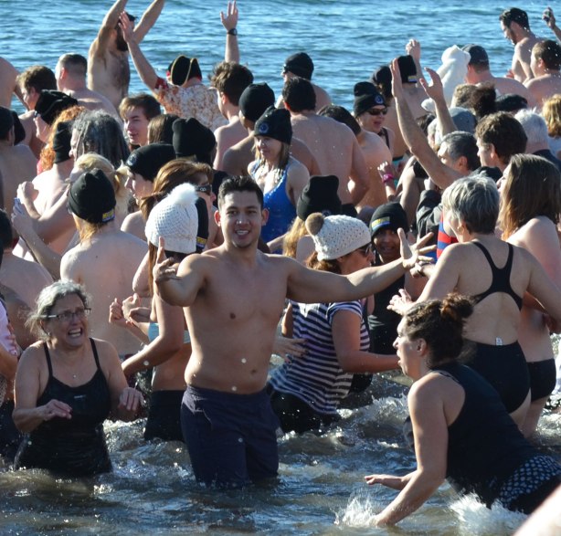 blog_crowds_water_polar_bear