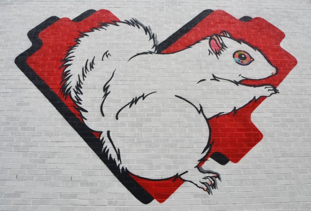 a large mural on white wall of a red lovebot heart and on the heart is a large albino squirrel (white squirrel) with pinkish eyes and ears. 