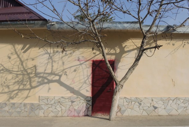 nurata_tree_red_door