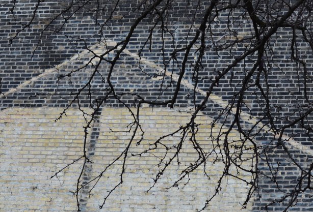 The ghost outline of a building, in white, on a black brick wall. Tree branches without leaves hang in front of the wall. 