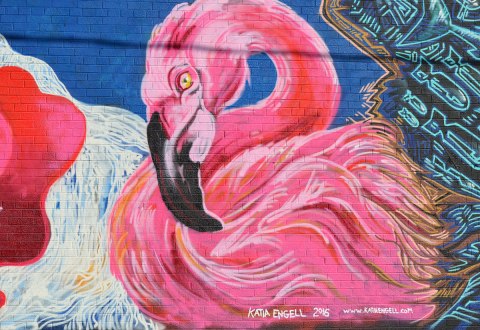 large pink flamingo painted on a wall, part of mural of 4 pink flamingos by Katia Engell 