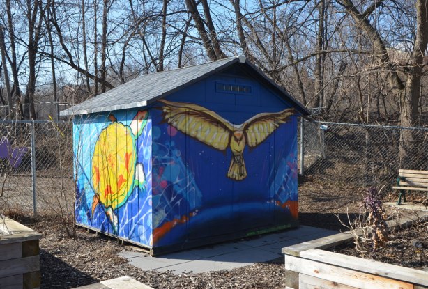 a small wood shed sits in a community garden.  Two sides can be seen, both painted with a mural by MOnica on the Moon.  One side is a bright yellow and orange turtle in blue water and the other is a gold and brown bird with its wings open (owl? hawk?) on a bright blue sky background 
