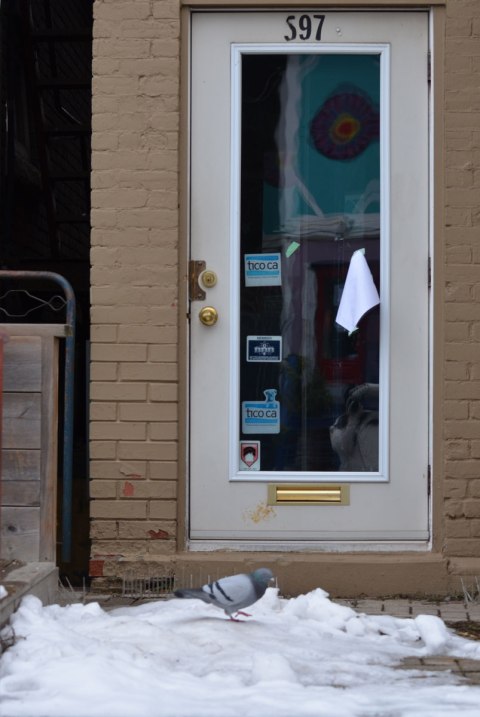 single door with large pane of glass, reflections in the glass, snow on the porch, a pigeon standing in the snow 