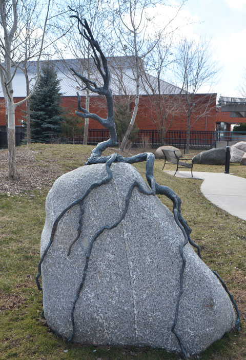 small sculpture in a park of a sapling on a rock with its roots growing over the surface of the rock 