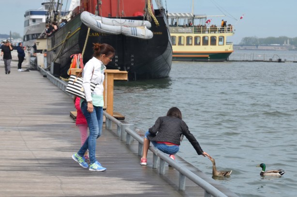 a girl sits on the rail between the walkway on the waterfront and the water while she reaches a hand out towards a duck. Her mother and younger sister watch. 