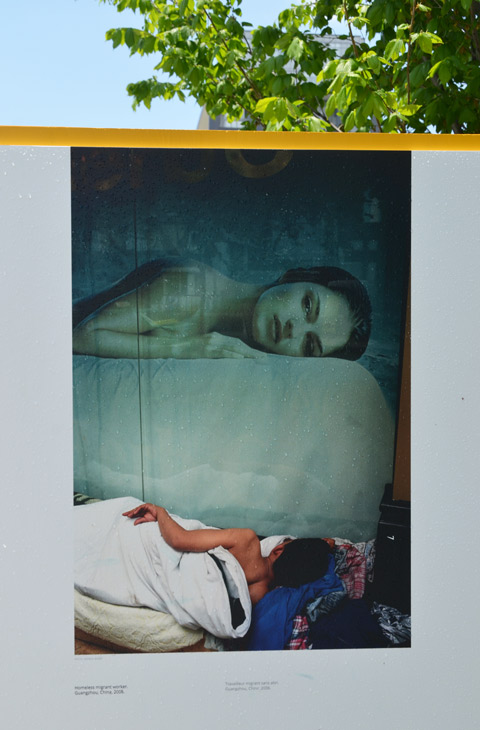 picture of a woman sleeping underneath a picture of a woman lying on a bed, shown outdoors so there are some tree leaves in the picture