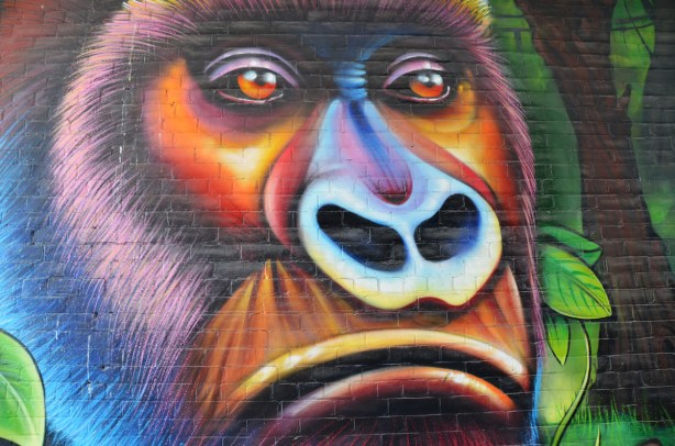 part of a large colourful mural by clandestinos smoky and shalak - close up of a large gorilla face