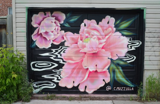 pink water lily painted on a black background