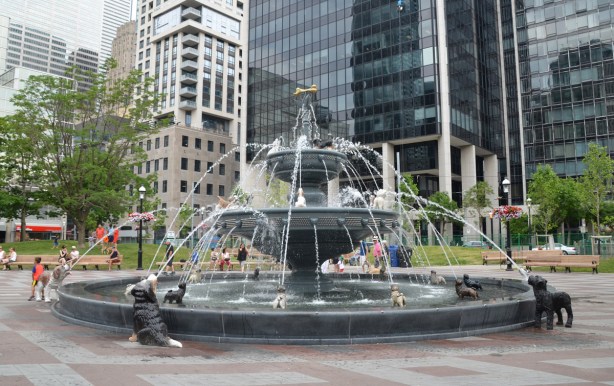 the new fountain in Berczy park, many sculptures of dogs that are spouting water into the fountain