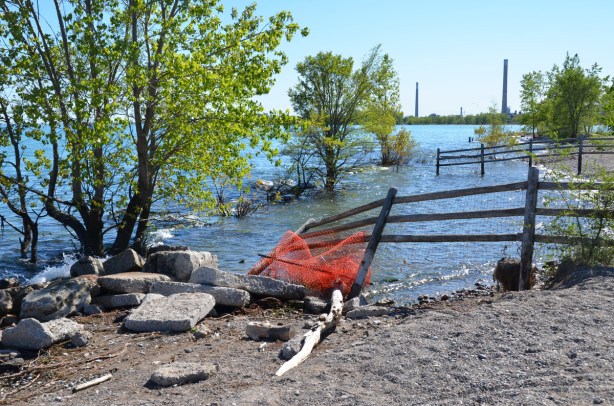 flooded beach, fences in water, remains of orange temporary fence, a tree in the water