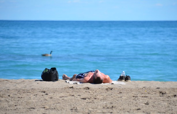 a man is lying on his back on Kew Beach, by Lake Ontario, a Canada goose is swimming by. 