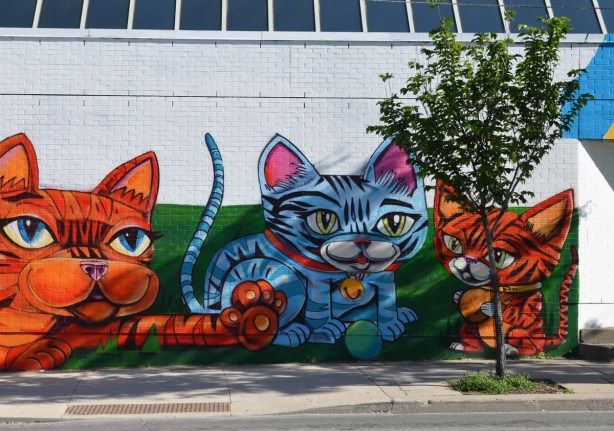 a cat and two kittens painted on a mural, one with a bell around its neck and two with little balls between their paws Uber5000 mural