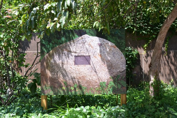 photo of a small plaque on a rock exhibited amongst shrubs and greenery outside