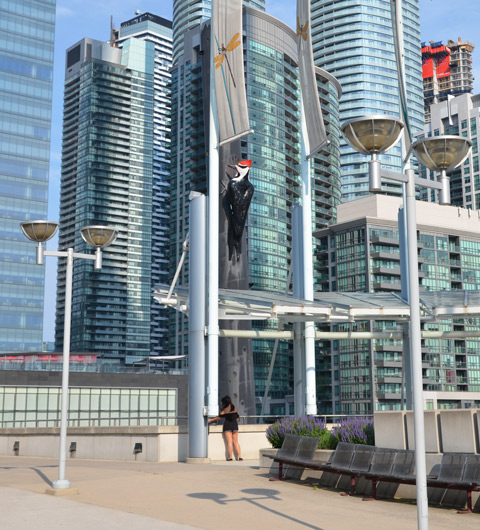 a concrete terrace, with benches and planters with purple flowers, lots of condos in the background, one person standing there 