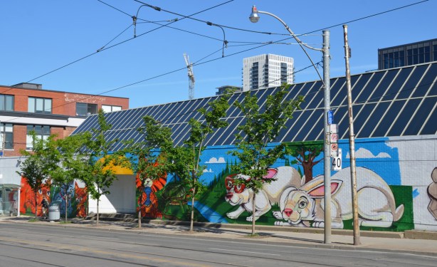 a long mural on the south wall of the Toronto Humane Society, brightly coloured cats, dogs, turtles and rabbit, painted by uber5000, larger than life sized animals. 