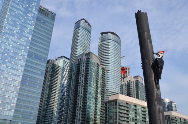 large sculpture of a woodpecker on a pole in the foreground, many glass skyscrapers condos in the background