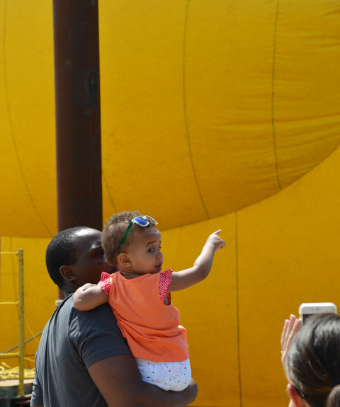 a litttle girl is being held up by her father, she is pointing at the duck and looking at her mother who is taking a picture of it