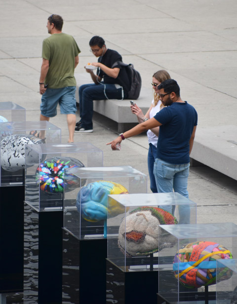 people looking at brain sculptures. one is pointing to them, the other is taking a picture of them.