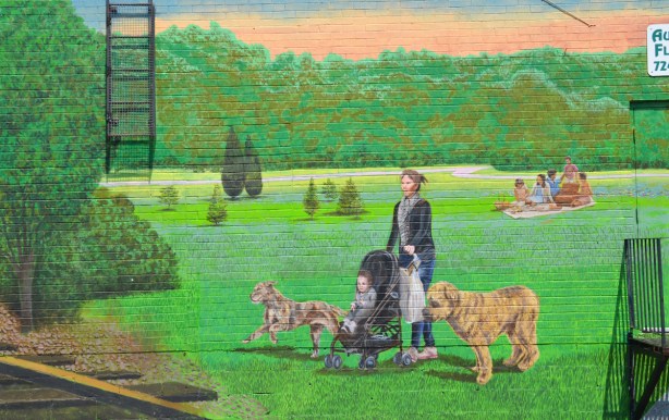 a woman pushing a stroller with a toddler in it, with 2 dogs on leashes walking in the park, a group is having a picnic in the background