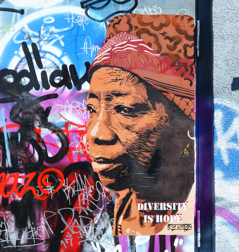 poster street art of a black woman's head and shoulders, 3/4 angle. She is wearing a head scarf that is patterned fabric wound round her head. The words on the poster say Diversity is Hope