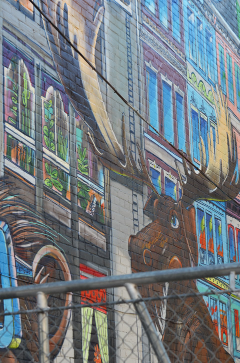 a large mural on a wall behind a fence, painted moose, large, seems to be looking over the fence. 
