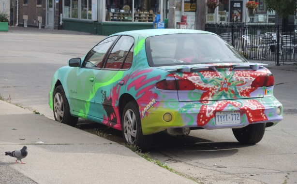 back of painted car, large flower and many colours in the background, a bumper sticker that says Honor Diversity