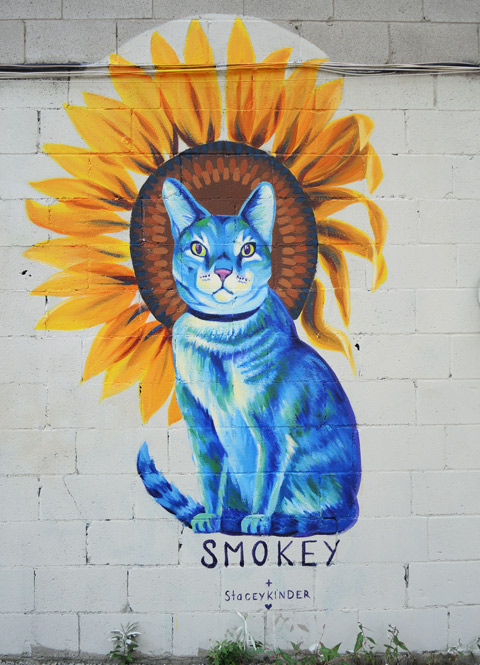 finished mural of Smokey the blue cat, with a sunflower behind his head, 