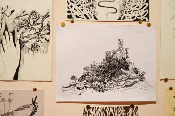pen and ink, and paint, drawings by sab meynert on a gallery wall, thumb tacked to the wall, black and white, intricate