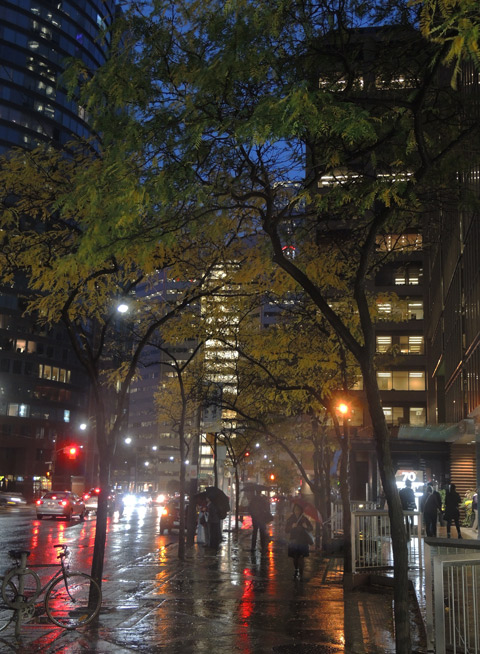 city street on a rainy night, pedestrians on the sidewalk, traffic, trees with autumn foilage, dark blue sky, lights in highrises