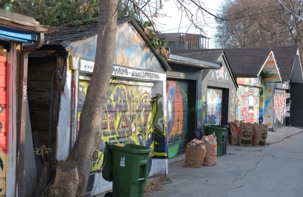a row of garages with the doors painted with murals, garbage ready for pick up in front of them, in a lane, large tree too 