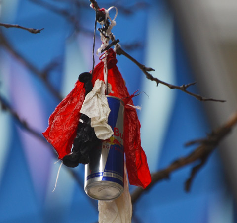 tied to a branch, two deflated red balloons and two deflated white balloons and a can of red bull drink 