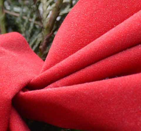part of a red fabric Christmas bow in a decoration with some green pine 