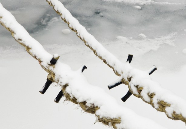 ice covered ropes that are holding a boat tied to the shore
