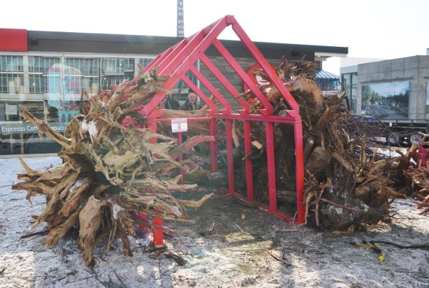 pink wood forms a frame in the shaipe of a small cabin with a pointed roof, it is being covered with large tree roots. 