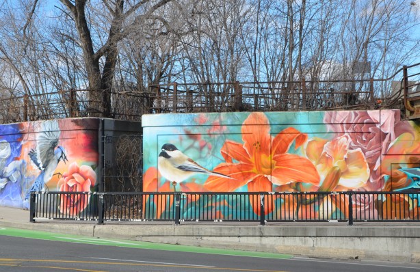 mural with a bird, chicakdee or sparrow beside a large orange tiger lily