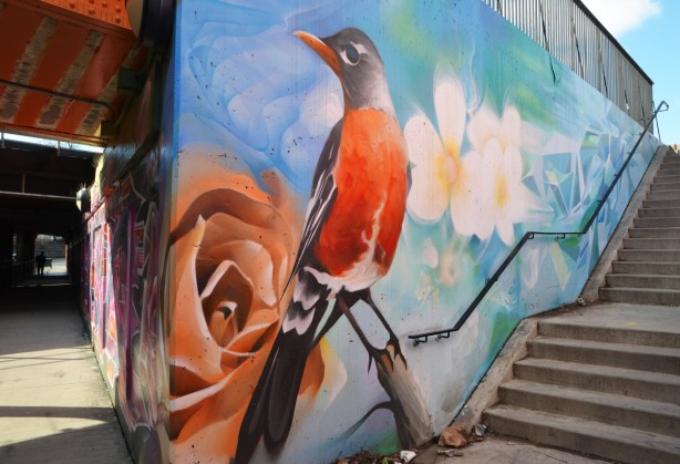 part of a mural, a robin and an orange rose, outside, beside a staircase 