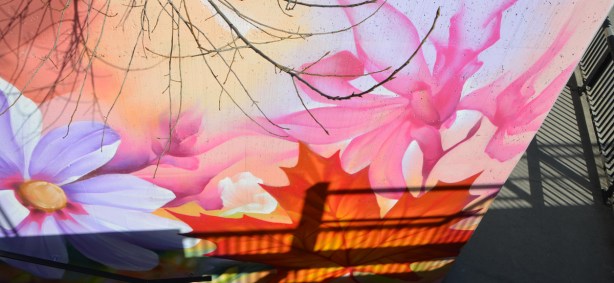 mural with flowers, shadows in front
