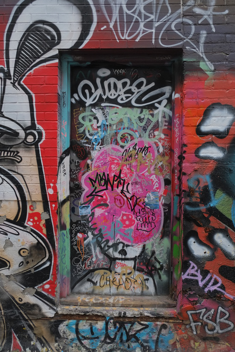 closed door in alley covered with graffiti , framed by other street art and murals 