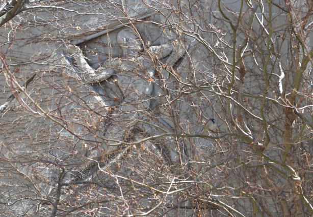 on a wall, covered with ivy plant (early spring so no leaves), relief sculpture of a man from the side, about to throw a javelin,