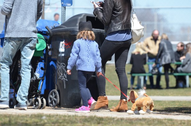 a family goes for a walk in the park, dad is pushing the stroller, mom on phone, young daughter pulling a pink leash with a toy dog on it.