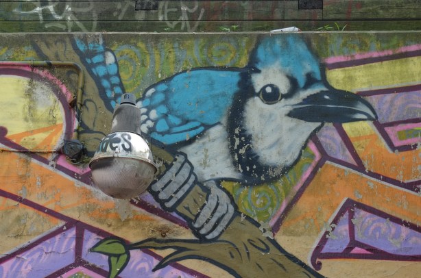street art painting of a blue jay