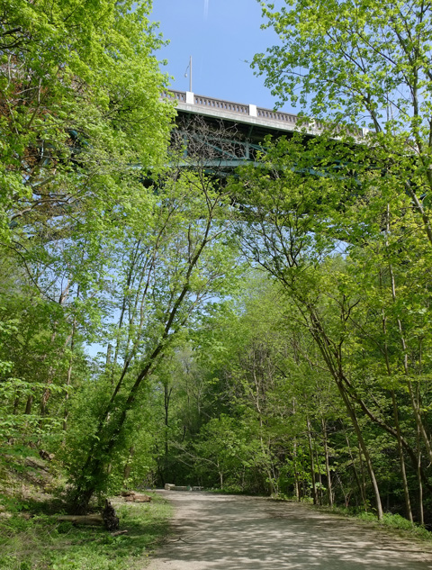 path through the woods in a Toronto ravine, green trees, above is a bridge