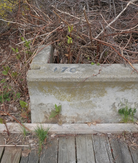 part of old concrete breakwater, once there was house here, number 170 embedded in the concrete 